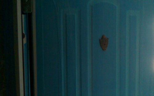 steel door