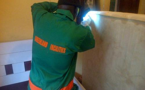 bed bug services