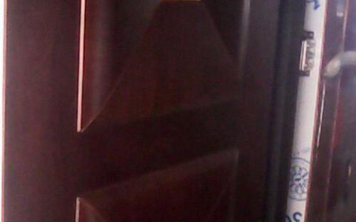 amour security door