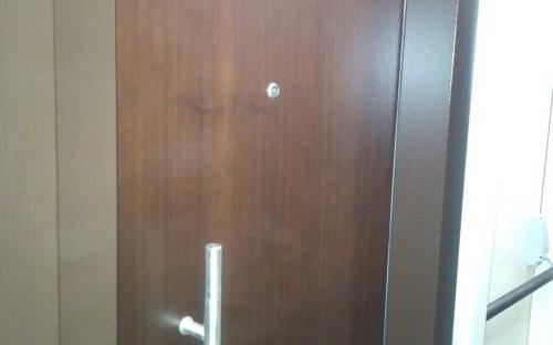 solid door