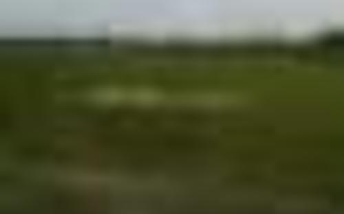 Land Picture
