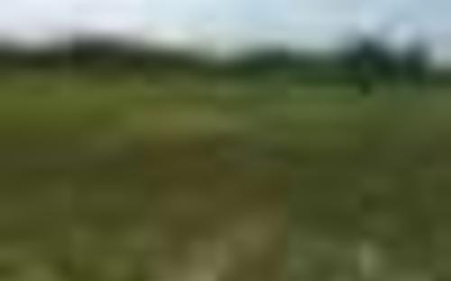 Land Picture 2