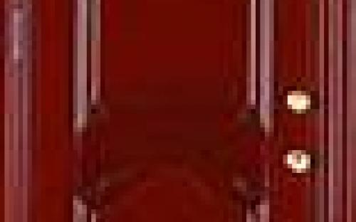 steel security door