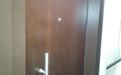 Isreali door