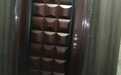 German steel door